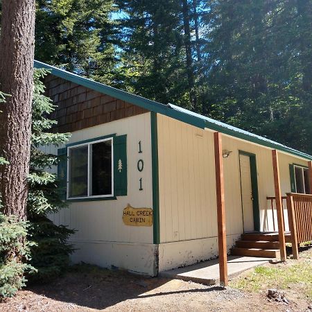 Hall Creek Cabin Packwood Eksteriør billede