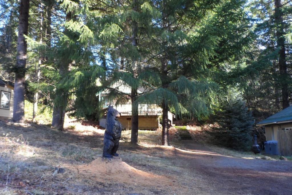 Hall Creek Cabin Packwood Eksteriør billede