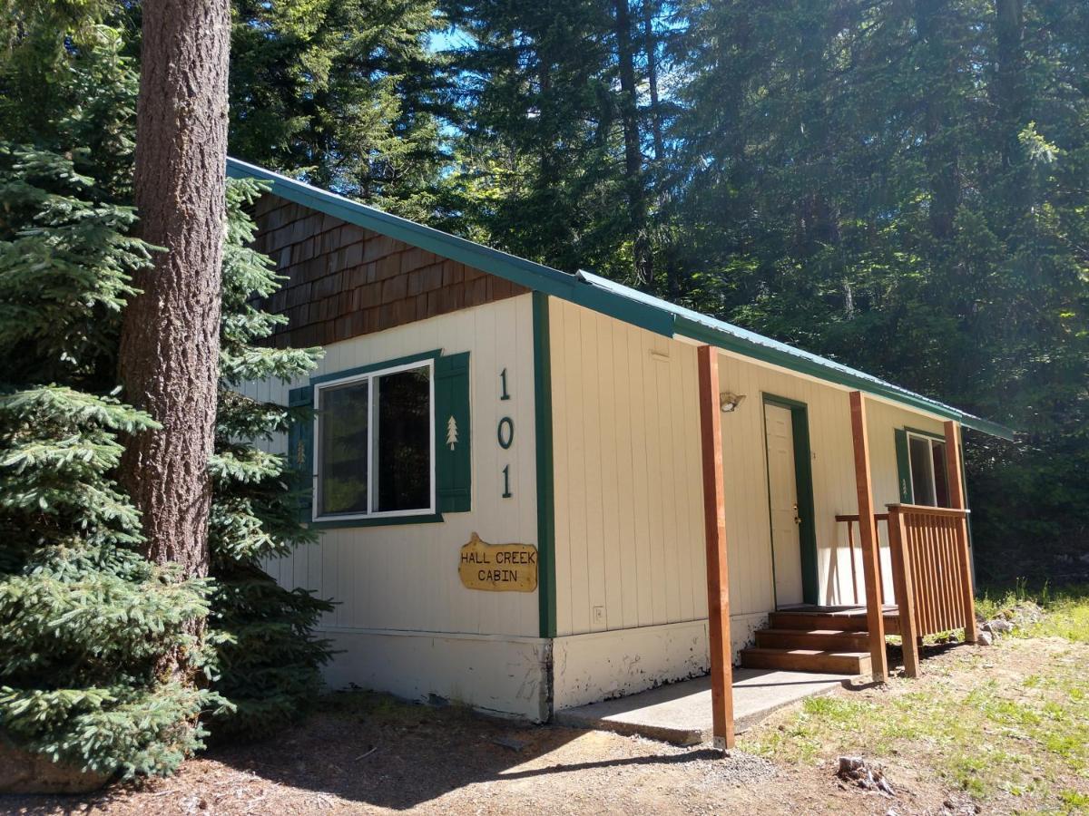 Hall Creek Cabin Packwood Eksteriør billede