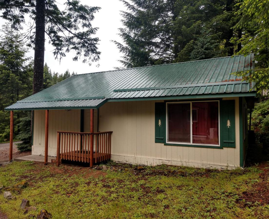 Hall Creek Cabin Packwood Eksteriør billede